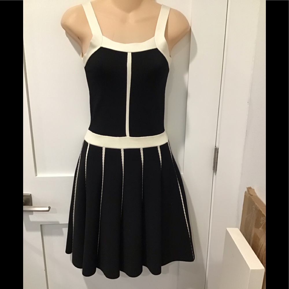 Parker Black and White Pleated Skater Dress